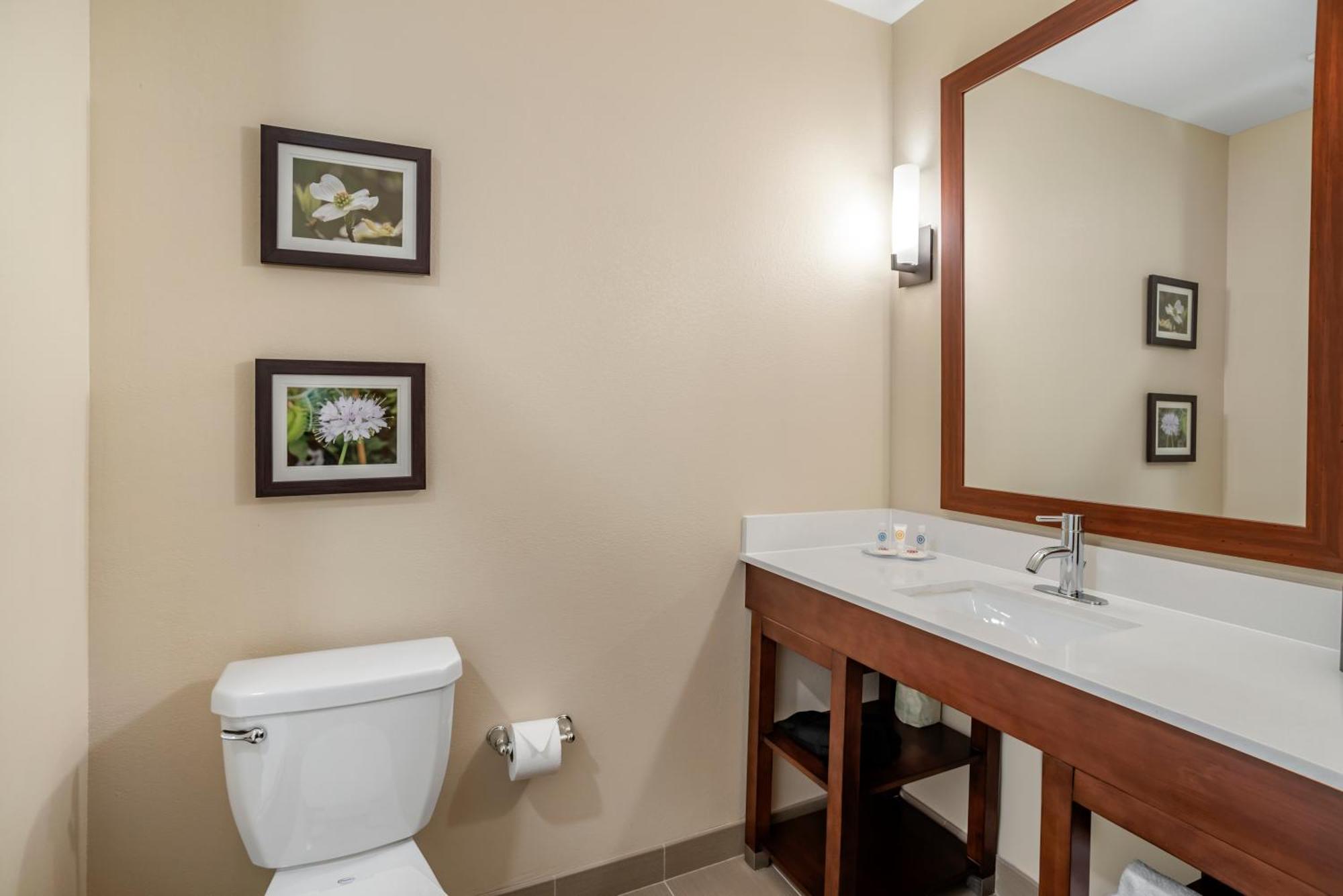 Comfort Inn & Suites Winchester Zimmer foto