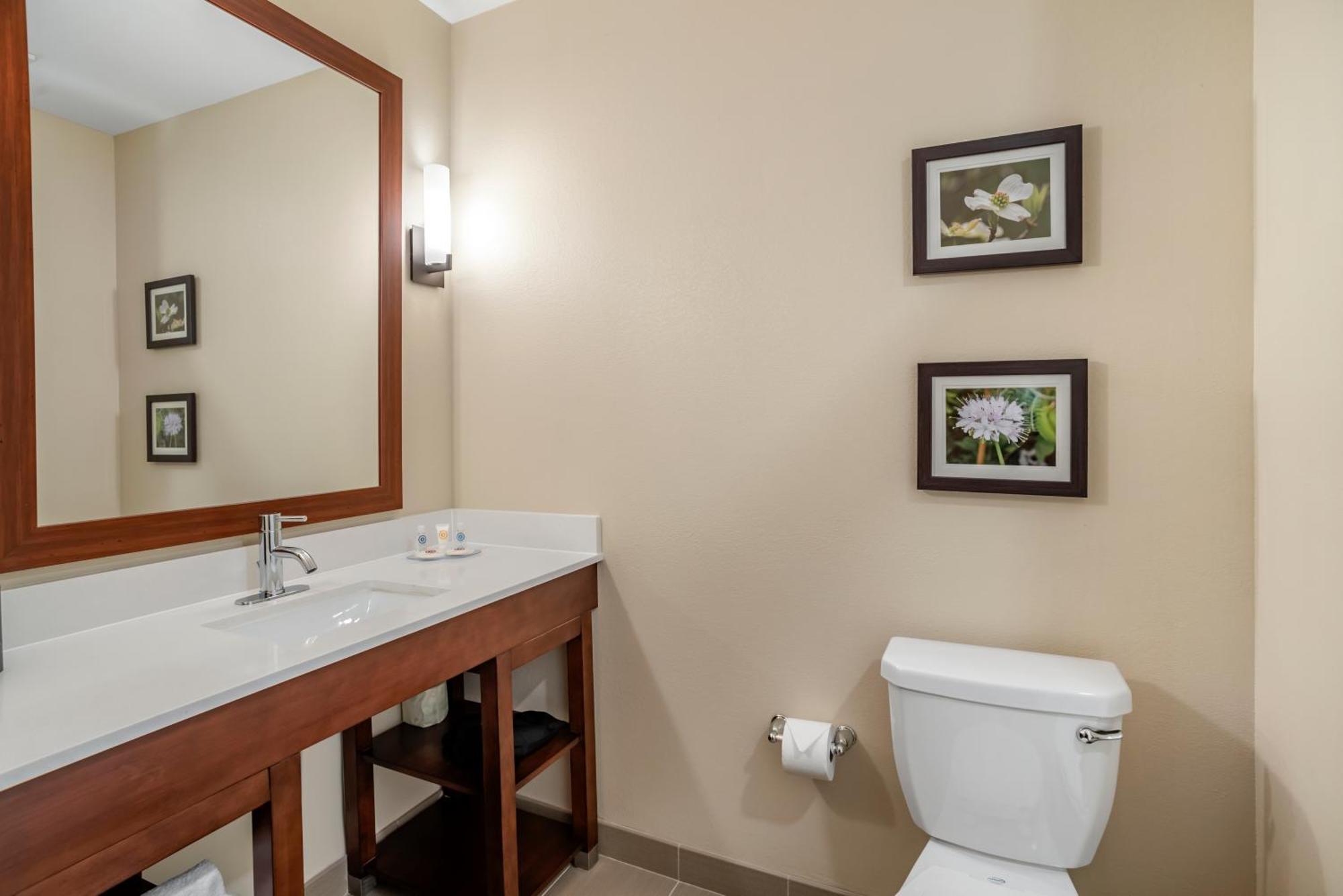 Comfort Inn & Suites Winchester Zimmer foto